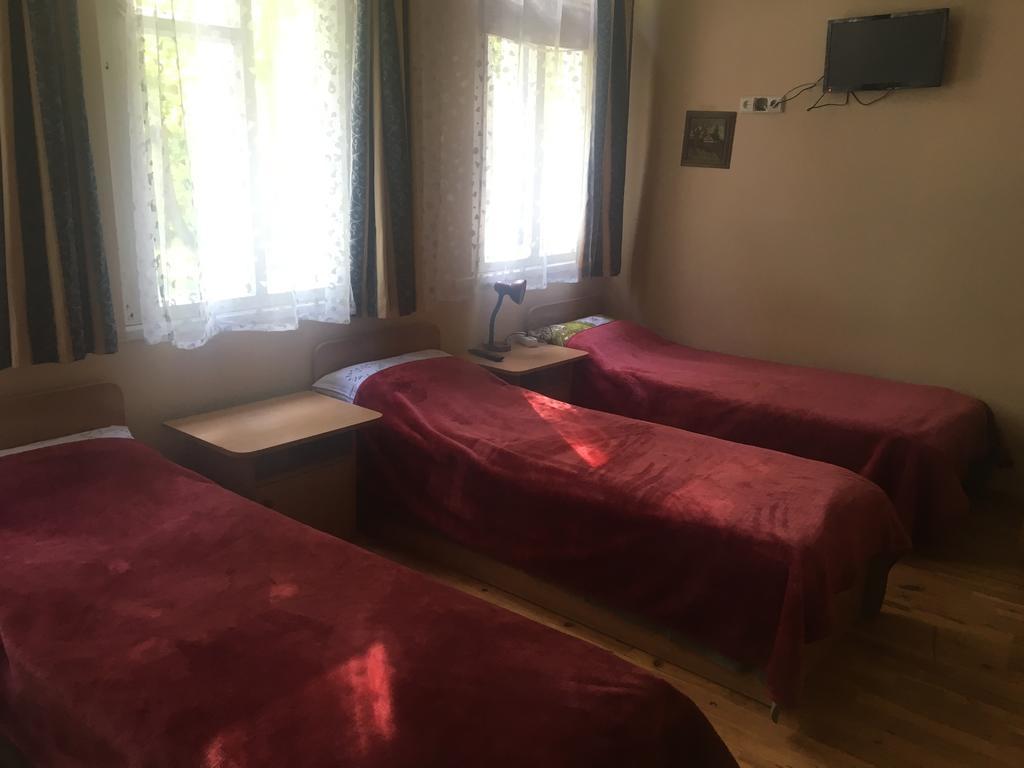 帕考维拉酒店 德拉肯恩凯 外观 照片